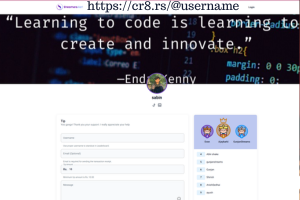 Tip Alert Example 3